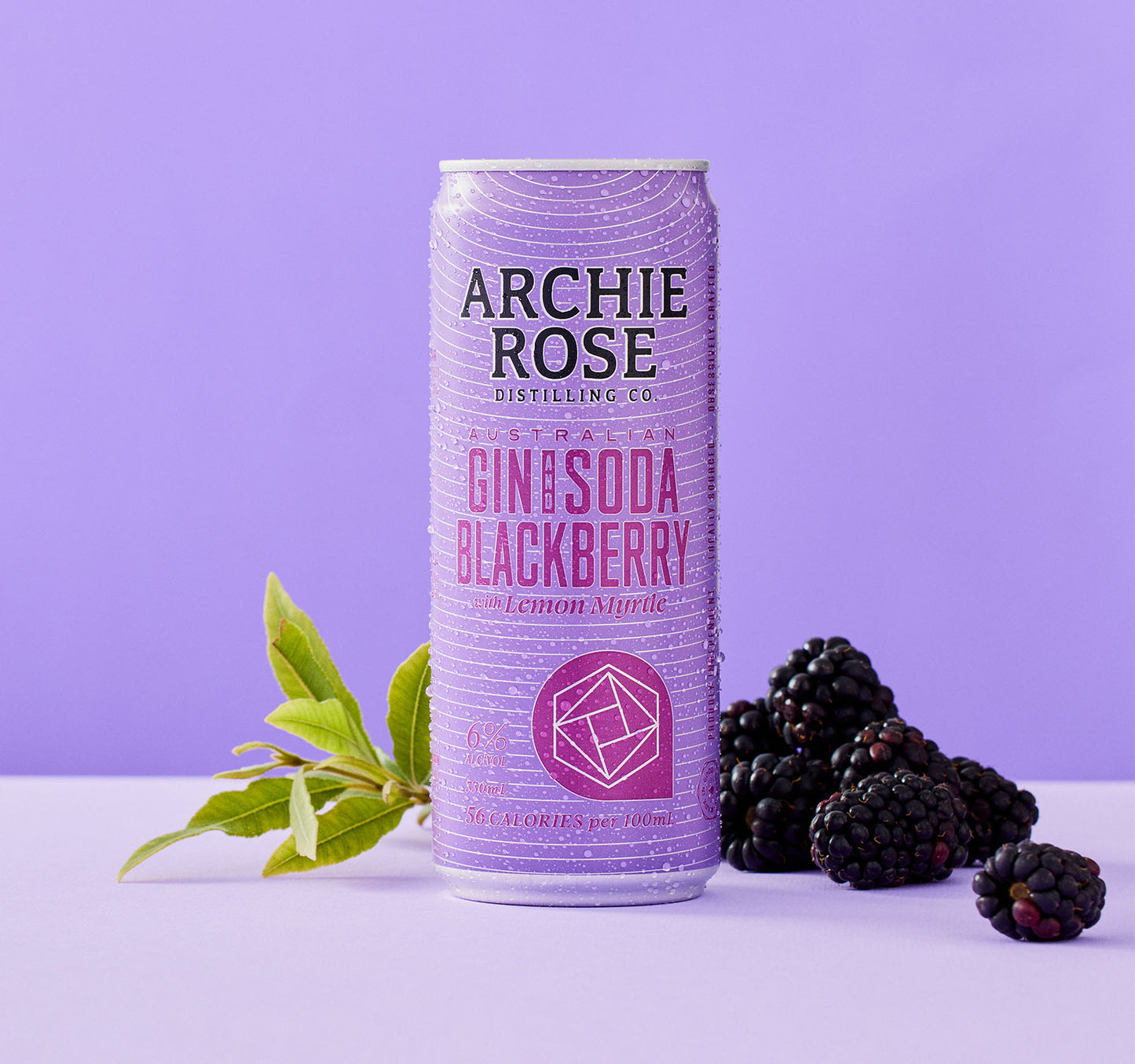 Straight Dry Gin & Blackberry with Lemon Myrtle - 24 x 330ml